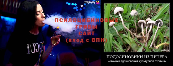 альфа пвп Армянск