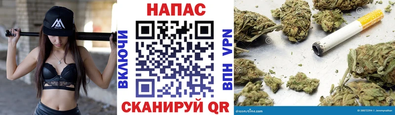 Шишки марихуана White Widow  KRAKEN ссылки  Приозерск 